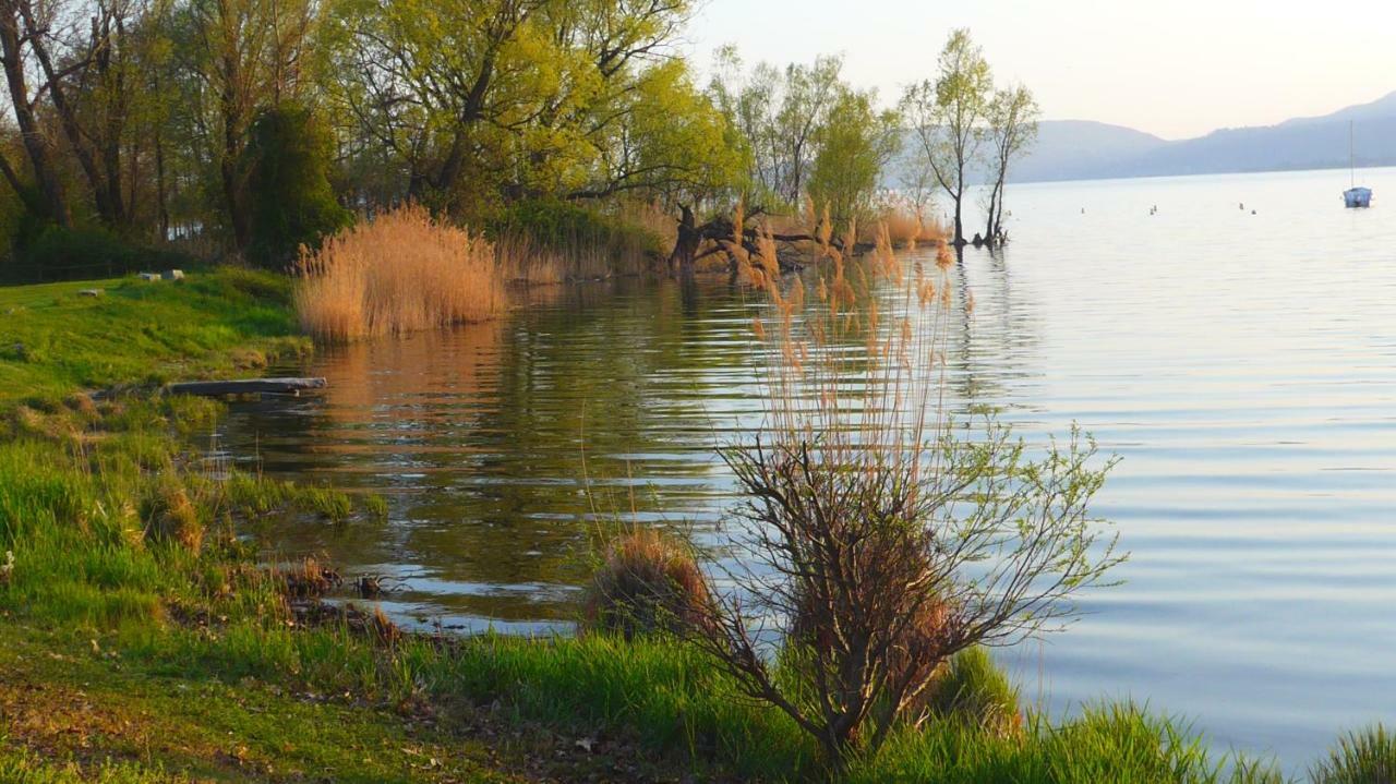 The Gulf Villa - Lago Maggiore Monvalle Екстериор снимка