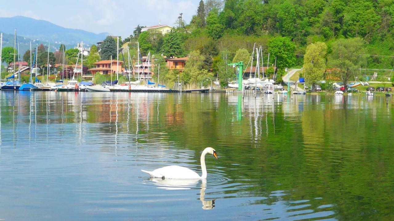 The Gulf Villa - Lago Maggiore Monvalle Екстериор снимка