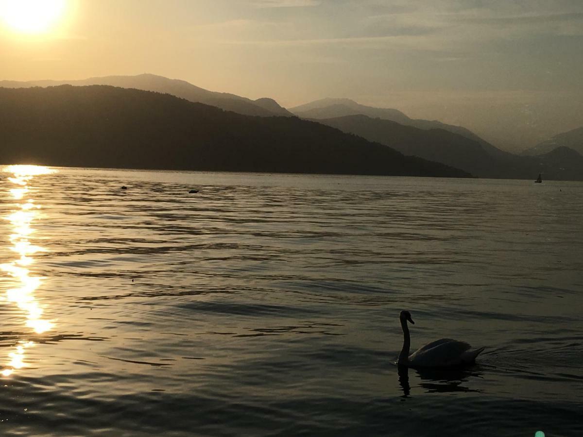 The Gulf Villa - Lago Maggiore Monvalle Екстериор снимка