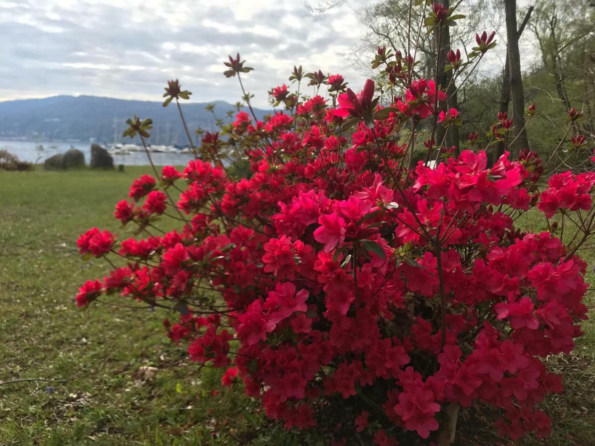The Gulf Villa - Lago Maggiore Monvalle Екстериор снимка